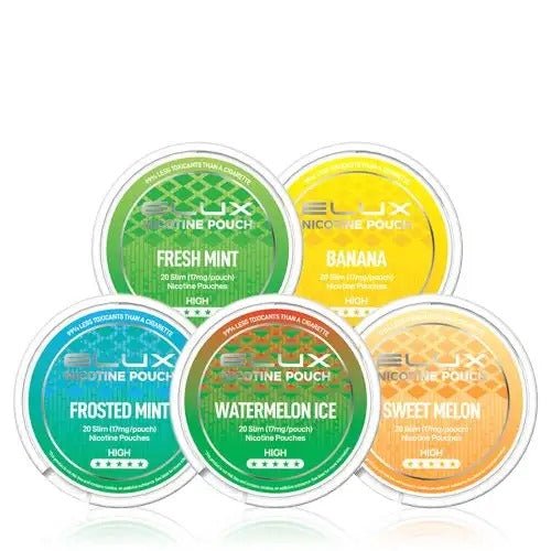 Elux Nicotine Pouches - (Pack of 10) - Washington Vapes Wholesale